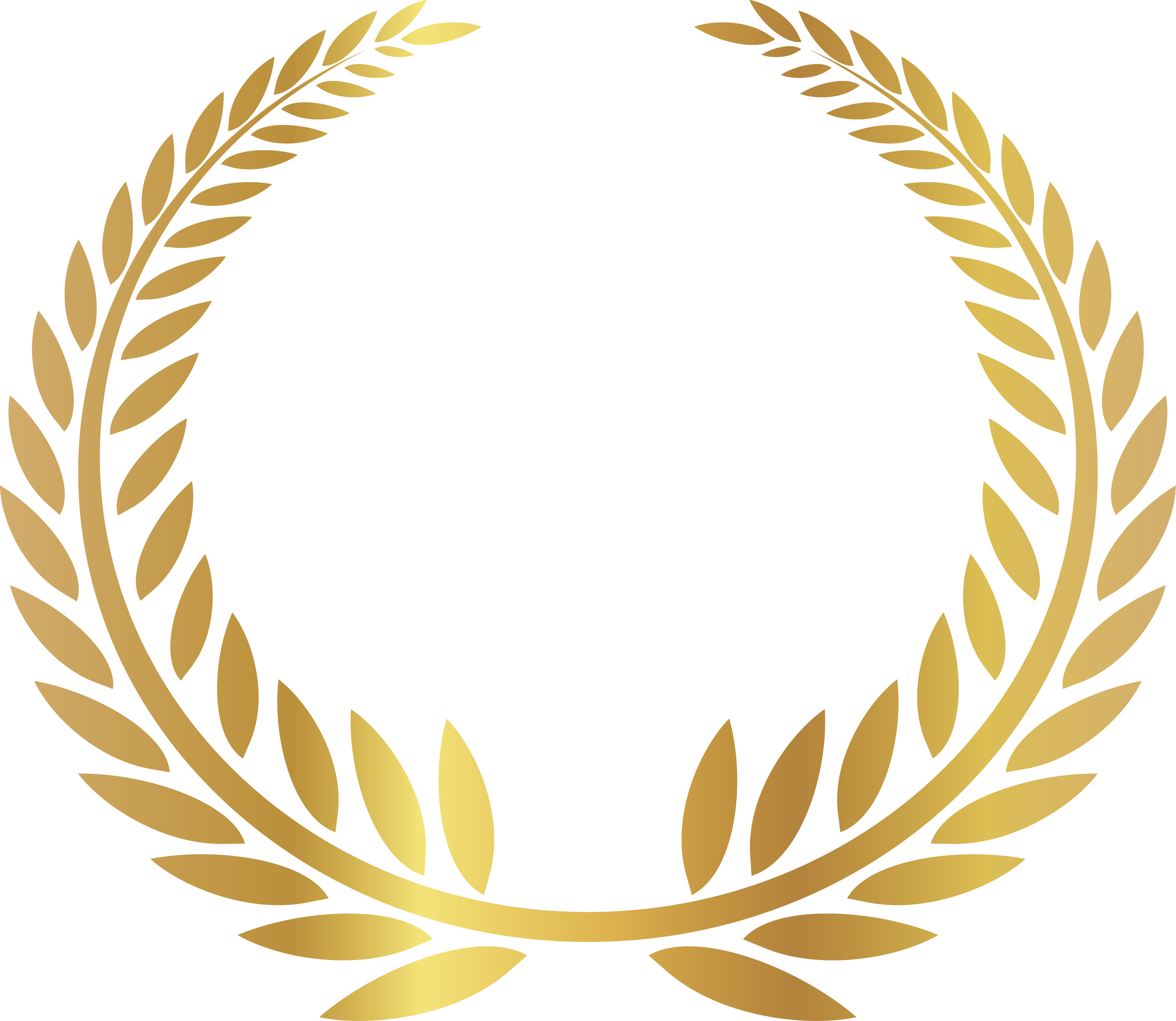 14 Years Experience